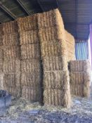 45 x Mini Heston Oat Straw Bales