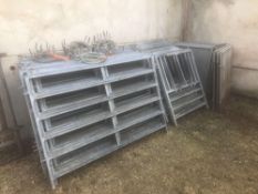 Quantity galvanised calf pens