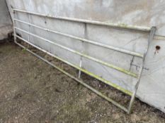 Galvanised 14ft gate