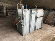 IAE calf dehorning crush