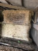 35 x Square Hay Bales