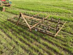 9ft spring tine cultivator, linkage mounted