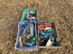 Quantity ratchet straps