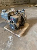 Briggs and Stratton, Petrol Water Pump