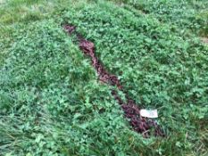 Quantity lifting chains