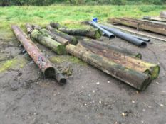 Quantity telegraph poles, sold in situ