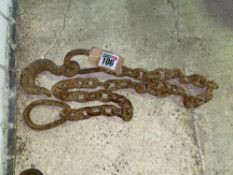 2.5m chain with hook
