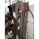 The Denbigh 3 phase Pillar Drill, belt driven, working order but belt slips, M66B, Serial Y33745, - Image 3 of 6