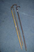 Three Walking Canes