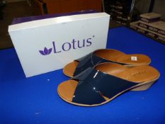 *Lotus Size: 7 Navy Patterned Shoes