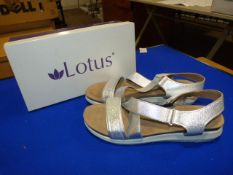 *Lotus Size: 7 Silver Shoes