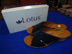 *Lotus Size: 8 Navy Patterned Shoes