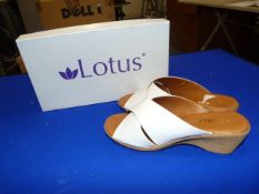 *Lotus Size: 7 White Patterned Shoes