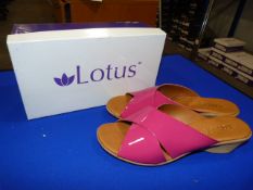 *Lotus Size: 6 Pink Patterned Shoes