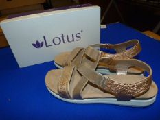 *Lotus Size: 7 Gold Shoes