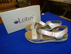 *Lotus Size: 4 Silver Shoes
