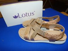 *Lotus Size: 8 Gold Shoes