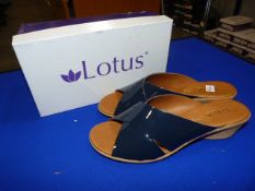 *Lotus Size: 7 Navy Patterned Shoes