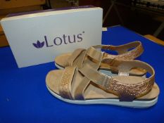 *Lotus Size: 6 Gold Shoes