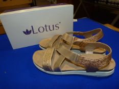 *Lotus Size: 6 Gold Shoes
