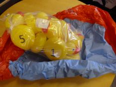 *Paddling Pool and Rubber Ducks