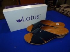 *Lotus Size: 7 Navy Patterned Shoes