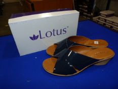 *Lotus Size: 7 Navy Patterned Shoes