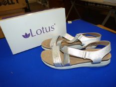 *Lotus Size: 5 Silver Shoes