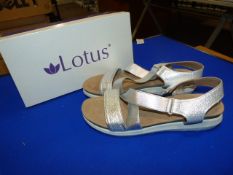 *Lotus Size: 6 Silver Shoes