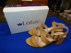 *Lotus Size: 7 Yellow Shoes