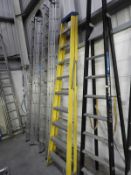 *Nine Tread Fiberglass & Aluminium Step Ladder