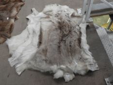 *Reindeer Hide