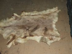 *Reindeer Hide