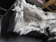 *Reindeer Hide