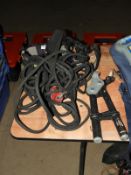 *Petzl Climbing Harness