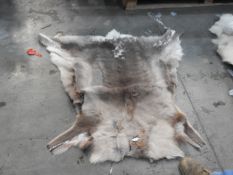 *Reindeer Hide