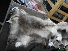 *Reindeer Hide