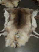 *Reindeer Hide