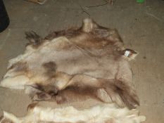 *Reindeer Hide