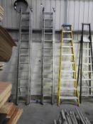 *Zargs 36 Rung Triple Extending Ladder