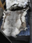 *Reindeer Hide