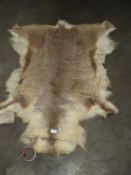 *Reindeer Hide