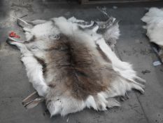 *Reindeer Hide
