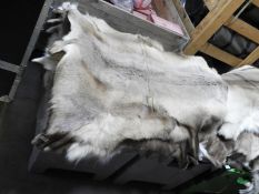 *Reindeer Hide