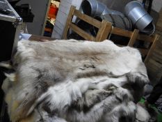 *Reindeer Hide