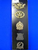 Five Assorted Badges