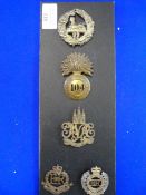 Five Assorted Cap Badges