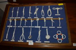 HMS Europa Knot Display Board