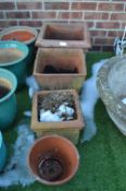 Four Terracotta Planters