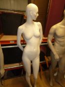 * female mannequin with glass base - nice features